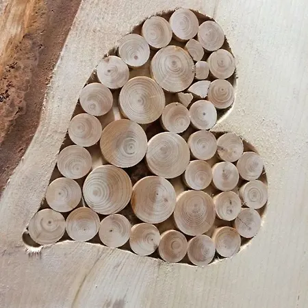 Olga Geiger - Bergheimat شقة باخ