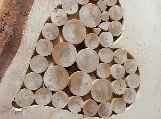 Olga Geiger - Bergheimat Appartement Bach (Tyrol)