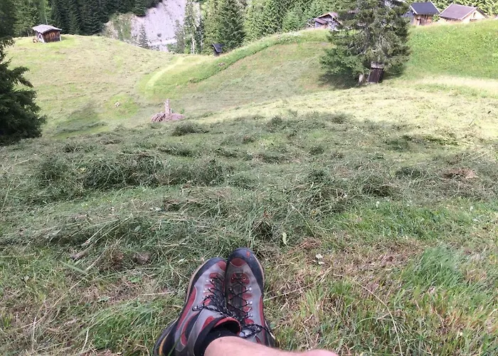 Olga Geiger - Bergheimat Appartement